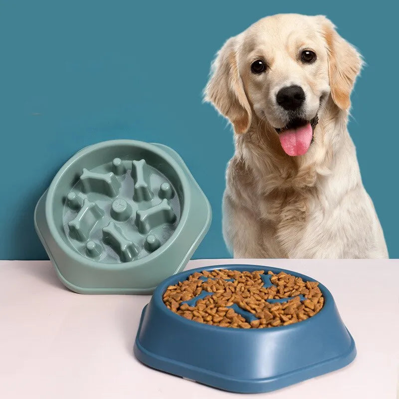 Slow Feeder Dog Bowl – Anti-Gulp Bowl for Healthier Eating