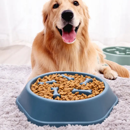 Slow Feeder Dog Bowl – Anti-Gulp Bowl for Healthier Eating